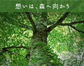 想いは、森へ向かう