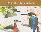 想いは、鳥へ向かう