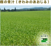 極の青汁(きわみのあおじる)