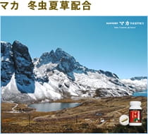 マカ　冬虫夏草配合