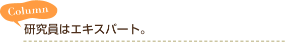 Column 研究員はエキスパート。