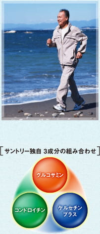 歩く毎日をやさしく応援。