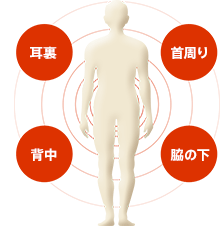 耳裏 首周り 背中 脇の下
