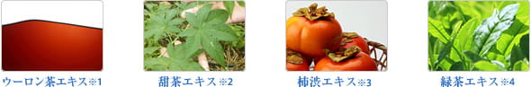 ウーロン茶エキス※1 甜茶エキス※2 柿渋エキス※3 緑茶エキス※4