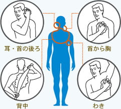 耳・首の後ろ 首から胸 背中 わき