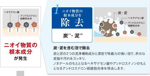 ニオイ物質の根本成分が発生 1.ニオイ物質の根本成分を除去 炭*1・泥*2 炭・泥を含む泡で除去 炭と泥の2つの洗浄補助成分と濃密で吸着力の強い泡で、余分な皮脂や汚れをスッキリ。 ノネナールのもととなるヘキサデセン酸やアンドロステノンのもととなるアンドロステロン硫酸抱合体を除去します。