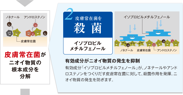 皮膚常在菌がニオイ物質の根本成分を分解 2.皮膚常在菌を殺菌 イソプロピル メチルフェノール 有効成分がニオイ物質の発生を抑制 有効成分「イソプロピルメチルフェノール」が、ノネナールやアンドロステノンをつくりだす皮膚常在菌に対して、殺菌作用を発揮。ニオイ物質の発生を防ぎます。