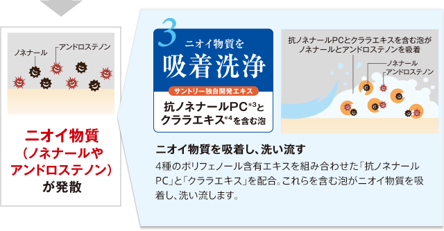 ニオイ物質(ノネナールやアンドロステノン)が発散 3.ニオイ物質を吸着洗浄 サントリー独自開発エキス 抗ノネナールPC*3とクララエキス*4を含む泡 ニオイ物質を吸着し、洗い流す 4種のポリフェノール含有エキスを組み合わせた「抗ノネナールPC」と「クララエキス」を配合。これらを含む泡がニオイ物質を吸着し、洗い流します。