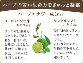 ハーブの若い生命力をぎゅっと凝縮 ハーブエナジー成分※1 ヨーロッパブナ芽エキス※2 ブナの木は生命力にあふれ、「終わり無き、若さの木」と呼ばれることも。芽の中に秘められた、パワーに注目しました。 ヤングオレンジエキス※3  昔から健康に役立てられていたハーブです。若い力を秘めた、早摘みで収穫したものにこだわって選びました。