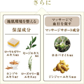 地肌環境を整える 保湿成分 ローヤルゼリーエキス※5 セージエキス※6 カンゾウエキス※7 ローズマリー葉エキス※2 マッサージで血行を促す マッサージサポート成分 ホホバオイル※2 ジンジャーエキス※10
