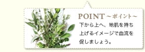 下から上へ、地肌を持ち上げるイメージで血流を促しましょう。