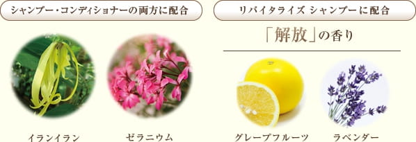 シャンプー・コンディショナーの両方に配合 イランイラン ゼラニウム リバイタライズ シャンプーに配合 「解放」の香り グレープフルーツ ラベンダー
