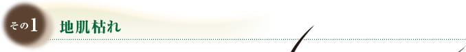 その1 地肌枯れ