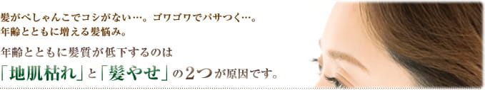 髪がぺしゃんこでコシがない…。ゴワゴワでパサつく…。年齢とともに増える髪悩み。年齢とともに髪質が低下するのは「地肌枯れ」と「髪やせ」の2つが原因です。