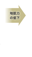 地肌力の低下