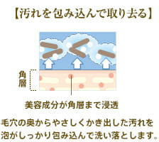 【汚れを包み込んで取り去る】 角層 美容成分が角層まで浸透 毛穴の奥からやさしくかき出した汚れを泡がしっかり包み込んで洗い落とします。