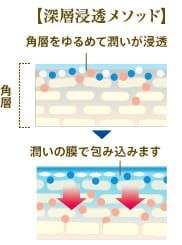 【深層浸透メソッド】 角層 角層をゆるめて潤いが浸透 潤いの膜で包み込みます