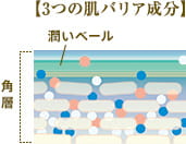 【3つの肌バリア成分】　角層　潤いベール