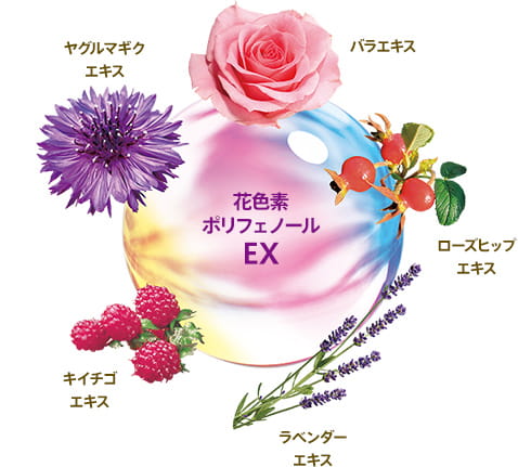 ヤグルマギクエキス バラエキス ローズヒップエキス ラベンダーエキス キイチゴエキス 花色素ポリフェノールEX