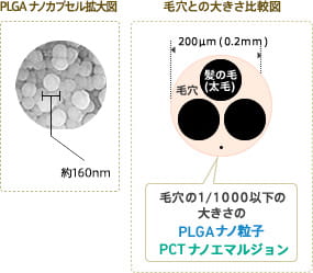 PLGAナノカプセル拡大図 約160nm　毛穴の大きさ比較図　毛穴の1/1000以下の大きさのPLGAナノ粒子 PCTナノエマルジョン
