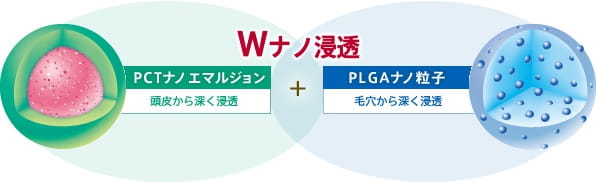 PLGAナノエマルジョン　頭皮から深く浸透　＋　PLGAナノ粒子　毛穴から深く浸透　Wナノ浸透