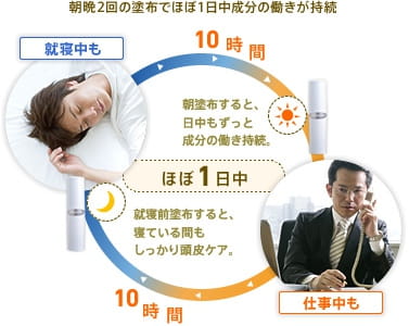 朝晩2回の塗布でほぼ1日中成分の働きが持続 就寝中も 仕事中も ほぼ1日中 朝塗布すると、日中もずっと成分の働き持続。 就寝前塗布すると、寝ている間もしっかり頭皮ケア。
