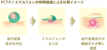 PCTナノエマルジョンの時間経過による分解イメージ 血行促進成分を内包 エマルジョンがなじむ 血行促進成分が細胞のすき間に浸透