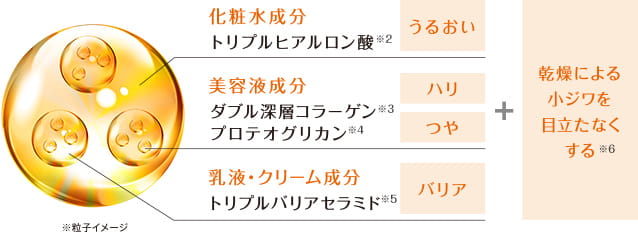 化粧水成分　トリプルヒアルロン酸※2　うるおい　美容液成分　ダブル深層コラーゲン※3プロテオグリカン※4 ハリつや　乳液・クリーム成分　トリプルバリアセラミド※5　バリア　乾燥による小ジワを目立たなくする※6　※粒子イメージ