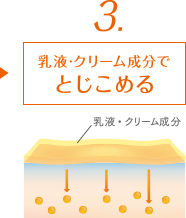 3、乳液・クリーム成分でとじこめる