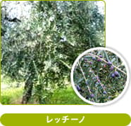 レッチーノ