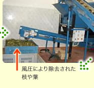 風圧により除去された枝や葉