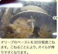 オリーブのペーストを30分程度こねます。こねることにより、オイルが搾りやすくなります。