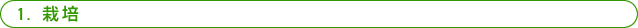1.栽培