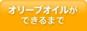 オリーブオイルができるまで