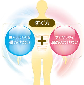 侵入したものを働かせない ＋ 余計なものを溜め込ませない 防ぐ力