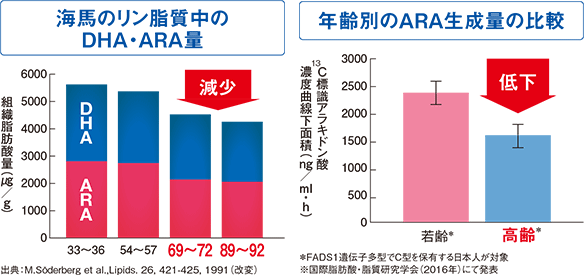 海馬のリン脂質中の DHA・ARA量 年齢別のARA生成量の比較