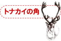 トナカイの角