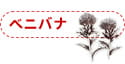 ベニバナ