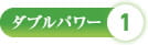 ダブルパワー1