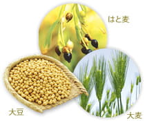 はと麦 大豆 大麦