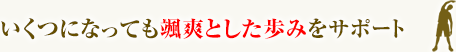 いくつになっても颯爽とした歩みをサポート