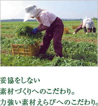 妥協をしない素材づくりへのこだわり。力強い素材えらびへのこだわり。