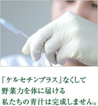 「ケルセチンプラス」なくして野菜力を体に届ける私たちの青汁は完成しません。
