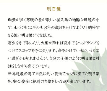 明日葉 雨量が多く寒暖の差が激しい屋久島の過酷な環境の中で、土づくりにこだわり、8年の歳月をかけてようやく納得できる強い明日葉ができました。害虫を手で取ったり、大雨が降れば夜中でもヘッドランプをつけてスコップを手に走ります。命をかけているというと言い過ぎかも知れませんが、自分の子供のように明日葉と対話をしながら育てています。世界遺産の島で自然に近い農法で大切に育てた明日葉を、安心・安全に絶対の自信をもって送り出しています。