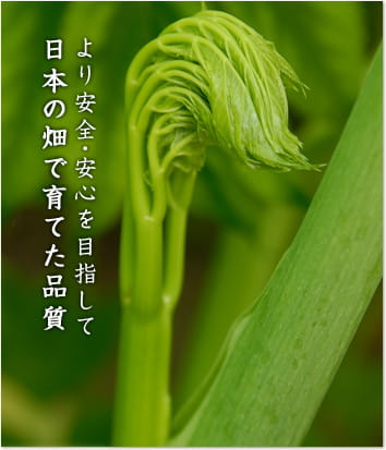 より安全・安心を目指して日本の畑で育てた品質