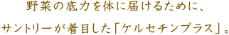 野菜の底力を体に届けるために、サントリーが着目した「ケルセチンプラス」。