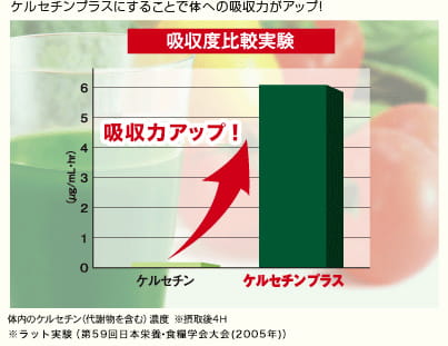 ケルセチンプラスにすることで体への吸収力がアップ