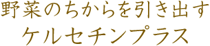 野菜のちからを引き出す ケルセチンプラス