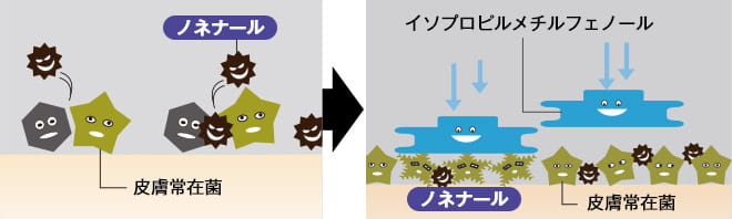 皮膚常在菌を殺菌するイメージ図