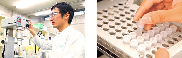 サントリーのポリフェノール研究イメージ写真